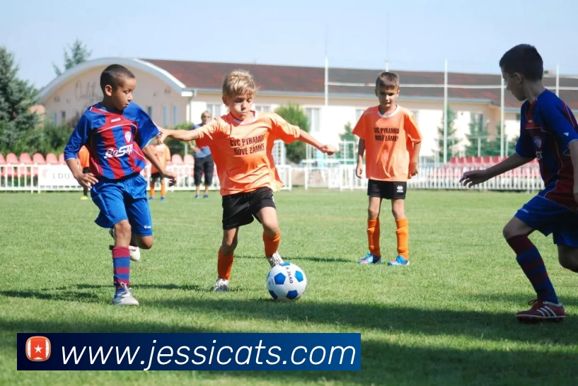 赛事专题整合